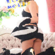 ヒメ日記 2025/10/17 08:57 投稿 なぎさ One More奥様　厚木店