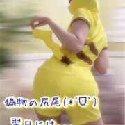 ヒメ日記 2025/10/30 09:47 投稿 なぎさ One More奥様　厚木店