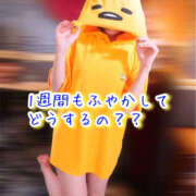 ヒメ日記 2025/10/31 14:07 投稿 なぎさ One More奥様　厚木店