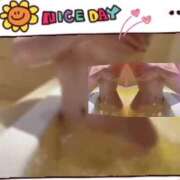 ヒメ日記 2025/11/06 07:57 投稿 なぎさ One More奥様　厚木店