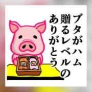 ヒメ日記 2025/11/08 10:37 投稿 なぎさ One More奥様　厚木店