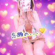 ヒメ日記 2025/11/10 14:17 投稿 なぎさ One More奥様　厚木店