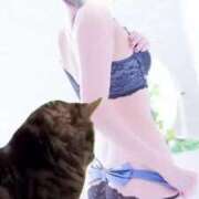 ヒメ日記 2025/12/02 11:57 投稿 なぎさ One More奥様　厚木店