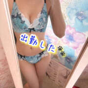 ヒメ日記 2026/02/13 17:07 投稿 なぎさ One More奥様　厚木店