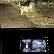 ヒメ日記 2026/03/15 21:57 投稿 なぎさ One More奥様　厚木店