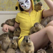 ヒメ日記 2026/03/24 22:17 投稿 なぎさ One More奥様　厚木店