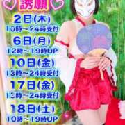 ヒメ日記 2026/07/01 19:57 投稿 なぎさ One More奥様　厚木店