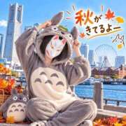 ヒメ日記 2026/09/18 14:09 投稿 なぎさ One More奥様　厚木店