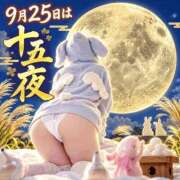 ヒメ日記 2026/09/25 07:49 投稿 なぎさ One More奥様　厚木店