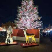 ヒメ日記 2024/12/25 22:30 投稿 花泉かりん ハプニング痴漢電車or全裸入室