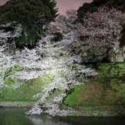 ヒメ日記 2025/04/28 12:40 投稿 花泉かりん ハプニング痴漢電車or全裸入室