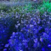 ヒメ日記 2025/05/07 20:12 投稿 花泉かりん ハプニング痴漢電車or全裸入室