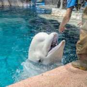 ヒメ日記 2025/06/18 10:57 投稿 小林　まや 極みSPAネクサス東海(旧イマジン名古屋)