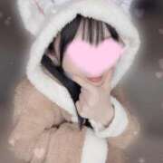 ヒメ日記 2024/12/16 19:32 投稿 うめよ CECIL