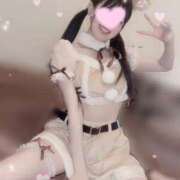 ヒメ日記 2024/12/20 18:45 投稿 うめよ CECIL