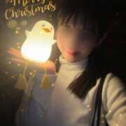 ヒメ日記 2024/12/25 18:45 投稿 うめよ CECIL