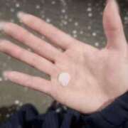 うめよ おすそわけ CECIL