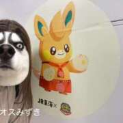 ヒメ日記 2025/12/05 19:25 投稿 須藤みずき 渋谷エオス