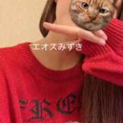 ヒメ日記 2025/12/17 15:20 投稿 須藤みずき 渋谷エオス