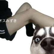 ヒメ日記 2026/01/28 22:30 投稿 須藤みずき 渋谷エオス