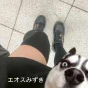 須藤みずき 🫶 渋谷エオス