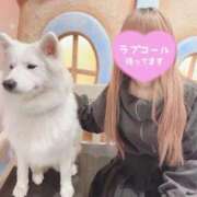 ヒメ日記 2025/02/15 11:02 投稿 みみ ガッツリ痴漢倶楽部in渋谷