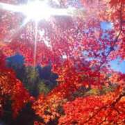 ヒメ日記 2025/12/04 12:29 投稿 はつね 綺麗なお姉様専門　町田リング4C（アンジェリークグループ）