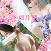 ヒメ日記 2025/01/23 12:22 投稿 如月椿 プレジデントクラブ