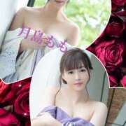 ヒメ日記 2025/03/05 11:09 投稿 如月椿 プレジデントクラブ