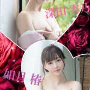 ヒメ日記 2025/04/14 13:28 投稿 如月椿 プレジデントクラブ