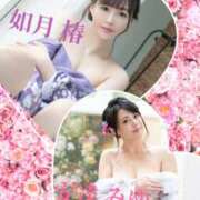 ヒメ日記 2025/10/11 14:10 投稿 如月椿 プレジデントクラブ