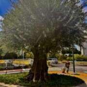 ヒメ日記 2025/03/04 18:11 投稿 佐々波エヴァ Mrs. Dandy Shibuya