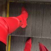 ヒメ日記 2025/11/07 13:33 投稿 佐々波エヴァ Mrs. Dandy Shibuya