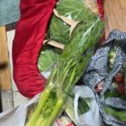 佐々波エヴァ 頑張れ私😅 Mrs. Dandy Shibuya