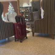 ヒメ日記 2025/12/17 12:01 投稿 佐々波エヴァ Mrs. Dandy Shibuya