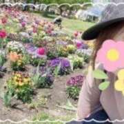 ヒメ日記 2025/03/10 15:09 投稿 西島すず Mrs. Dandy Shibuya