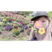 ヒメ日記 2025/09/01 16:29 投稿 西島すず Mrs. Dandy Shibuya