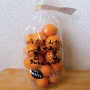 ヒメ日記 2024/12/19 16:53 投稿 かこ 奥鉄オクテツ兵庫