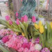 ヒメ日記 2025/02/03 20:13 投稿 かこ 奥鉄オクテツ兵庫