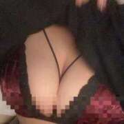 ヒメ日記 2025/06/19 10:21 投稿 はな 三重四日市ちゃんこ