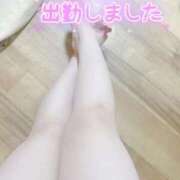 はな 出勤🦖🐾 三重四日市ちゃんこ