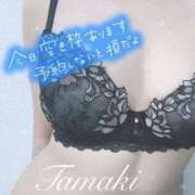 ヒメ日記 2024/10/13 14:31 投稿 珠希-Tamaki- 姉新地