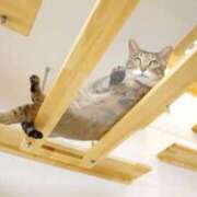 浅倉いずみ お礼です🩵 シロガネーゼ