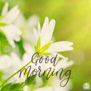 浅倉いずみ おはようございます💜 シロガネーゼ