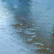 ヒメ日記 2026/04/21 08:03 投稿 浅倉いずみ シロガネーゼ