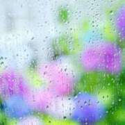 ヒメ日記 2026/04/21 20:57 投稿 浅倉いずみ シロガネーゼ