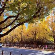 ヒメ日記 2025/11/19 08:39 投稿 八代麻里江 ローテンブルク