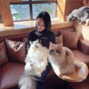 ヒメ日記 2025/11/22 23:01 投稿 八代麻里江 ローテンブルク