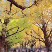 ヒメ日記 2025/11/25 01:25 投稿 八代麻里江 ローテンブルク