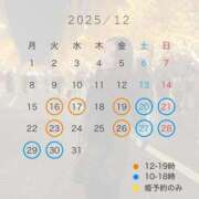 ヒメ日記 2025/12/07 04:18 投稿 八代麻里江 ローテンブルク